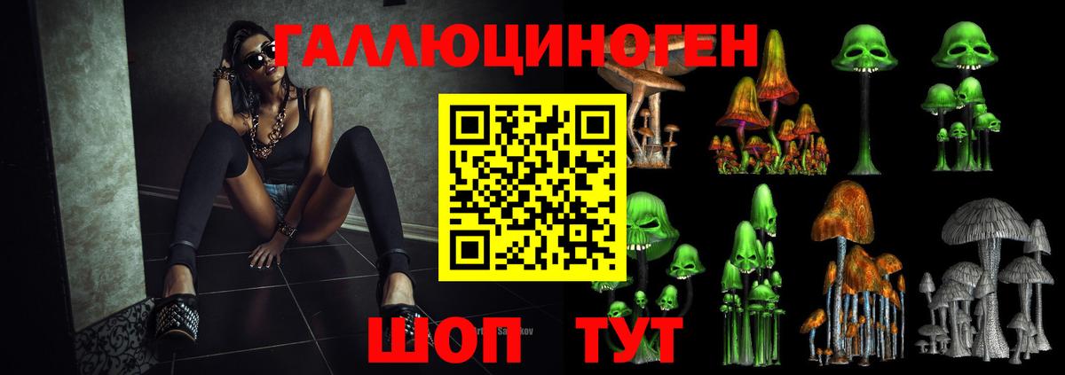 Псилоцибиновые грибы Psilocybe Батайск